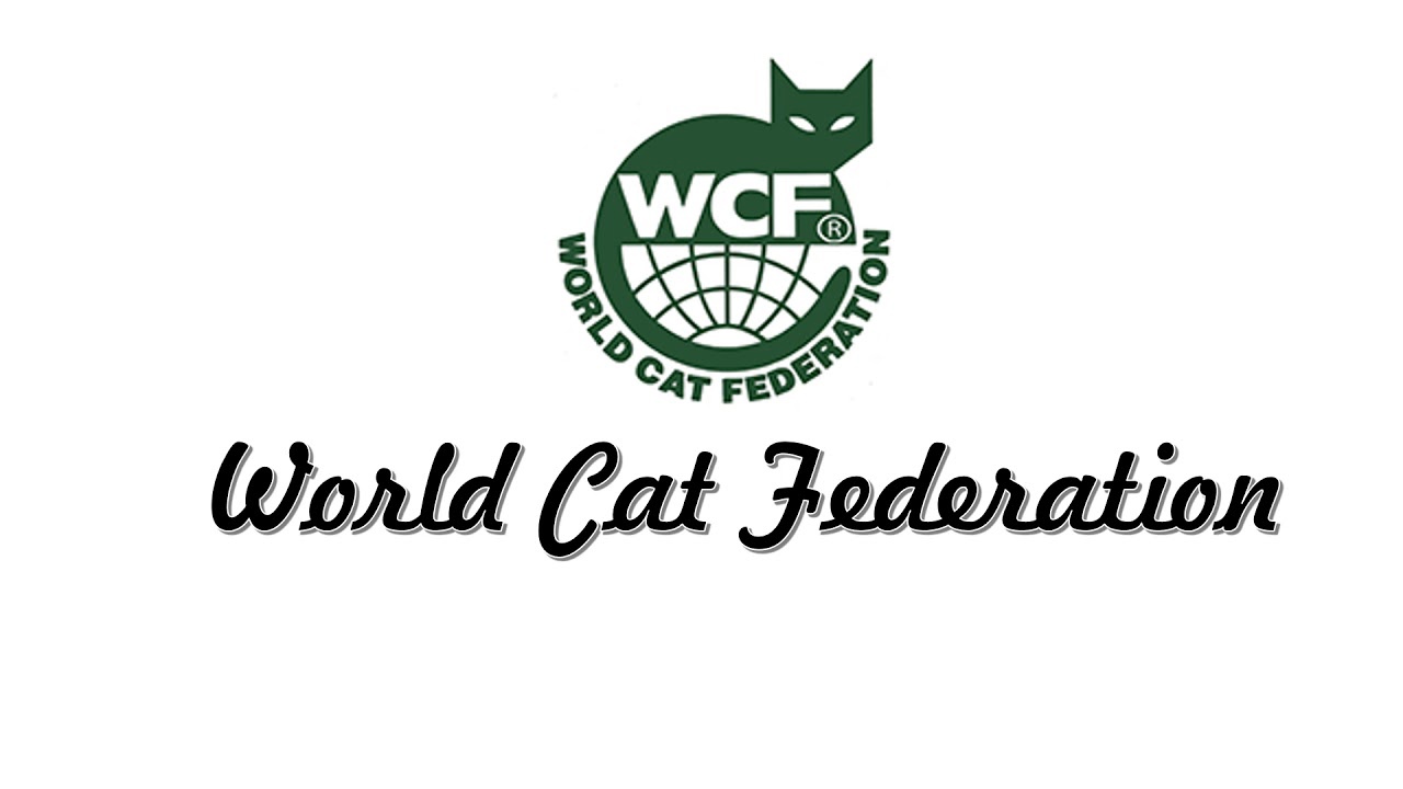 Всемирная организация кошек WCF
