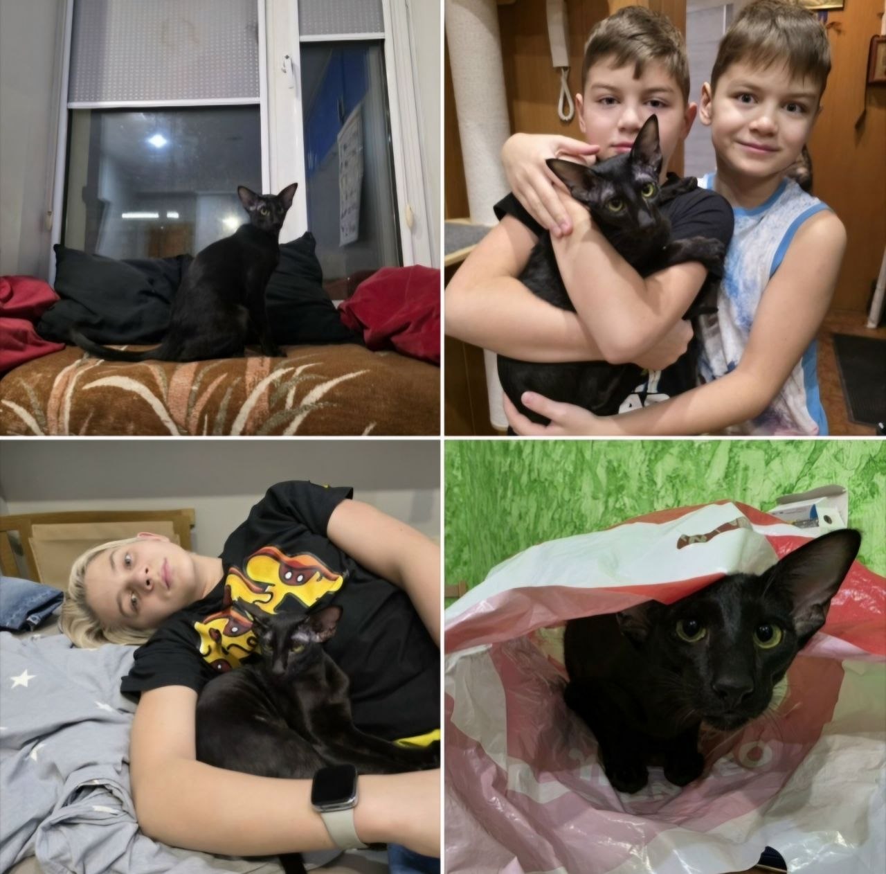 Ольга, хозяйка Орладно